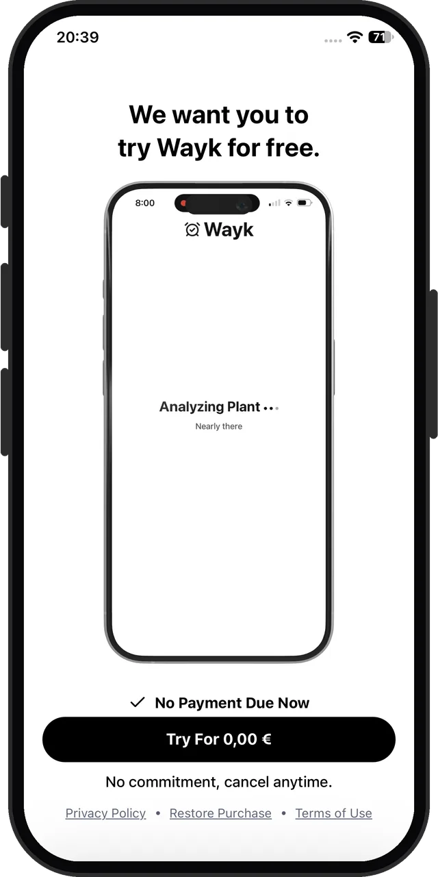 Wayk's paywall: a free trial before any alarm